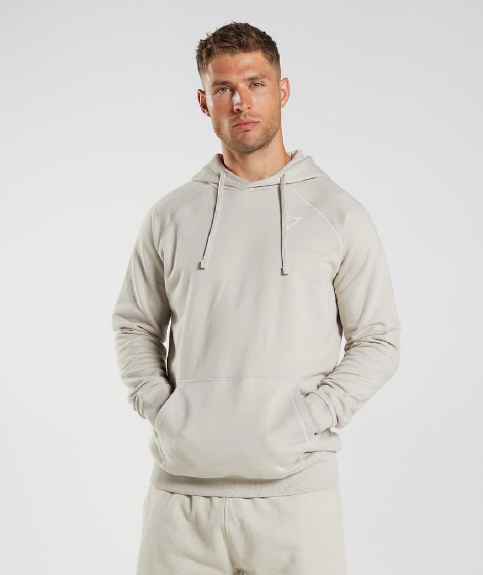 Sudadera Con Capucha Gymshark Crest Hombre Gris | CO 3598BEX